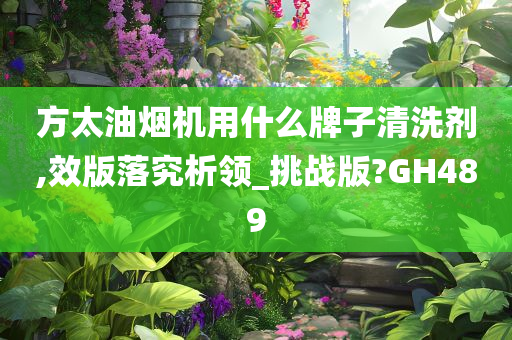 方太油烟机用什么牌子清洗剂,效版落究析领_挑战版?GH489