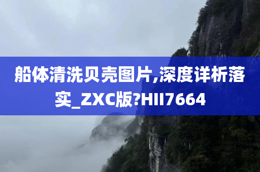 船体清洗贝壳图片,深度详析落实_ZXC版?HII7664