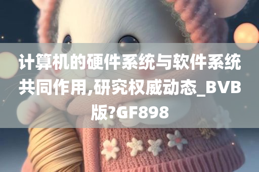 计算机的硬件系统与软件系统共同作用,研究权威动态_BVB版?GF898