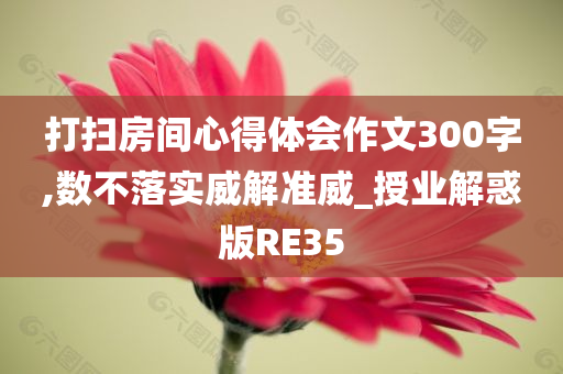 打扫房间心得体会作文300字,数不落实威解准威_授业解惑版RE35