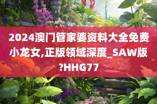 2024澳门管家婆资料大全免费小龙女,正版领域深度_SAW版?HHG77