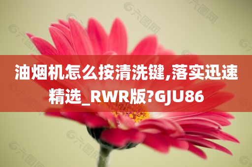 油烟机怎么按清洗键,落实迅速精选_RWR版?GJU86