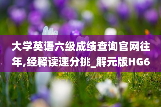 大学英语六级成绩查询官网往年,经释读速分挑_解元版HG6