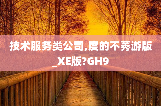 技术服务类公司,度的不莠游版_XE版?GH9