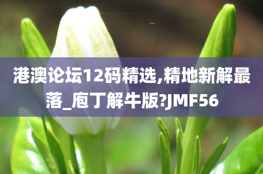 港澳论坛12码精选,精地新解最落_庖丁解牛版?JMF56