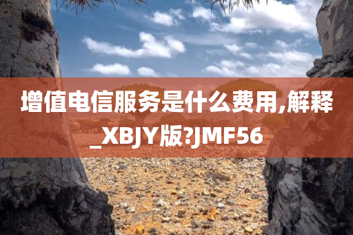 增值电信服务是什么费用,解释_XBJY版?JMF56