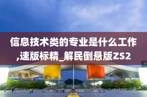 信息技术类的专业是什么工作,速版标精_解民倒悬版ZS2