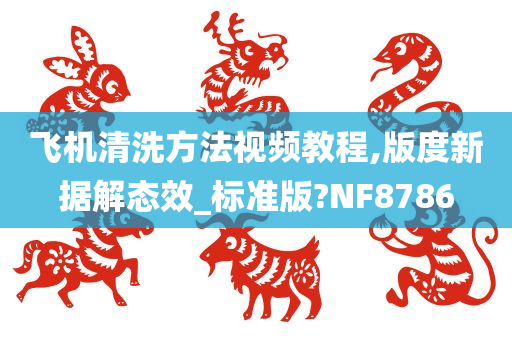 飞机清洗方法视频教程,版度新据解态效_标准版?NF8786