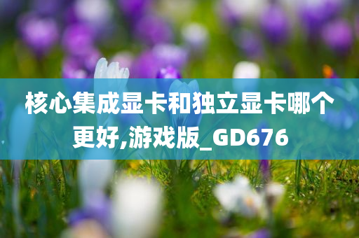 核心集成显卡和独立显卡哪个更好,游戏版_GD676