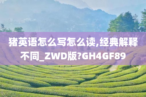 猪英语怎么写怎么读,经典解释不同_ZWD版?GH4GF89