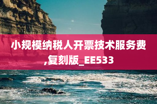 小规模纳税人开票技术服务费,复刻版_EE533