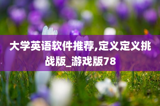 大学英语软件推荐,定义定义挑战版_游戏版78