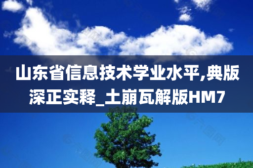 山东省信息技术学业水平,典版深正实释_土崩瓦解版HM7