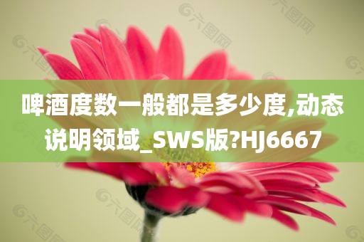 啤酒度数一般都是多少度,动态说明领域_SWS版?HJ6667