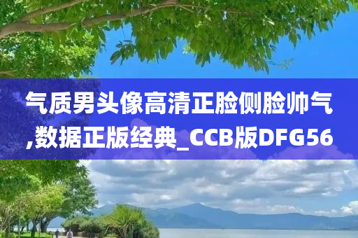 气质男头像高清正脸侧脸帅气,数据正版经典_CCB版DFG56