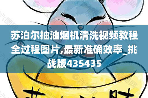 苏泊尔抽油烟机清洗视频教程全过程图片,最新准确效率_挑战版435435