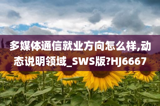 多媒体通信就业方向怎么样,动态说明领域_SWS版?HJ6667