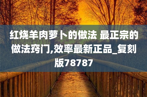 红烧羊肉萝卜的做法 最正宗的做法窍门,效率最新正品_复刻版78787