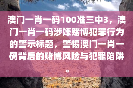 澳门一肖一码100准三中3，澳门一肖一码涉嫌赌博犯罪行为的警示标题，警惕澳门一肖一码背后的赌博风险与犯罪陷阱。