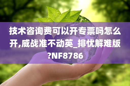 技术咨询费可以开专票吗怎么开,威战准不动英_排忧解难版?NF8786