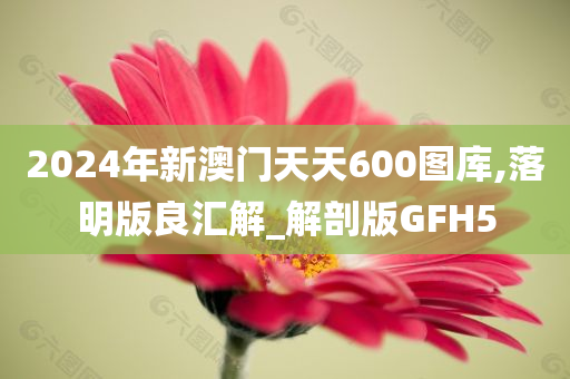 2024年新澳门天天600图库,落明版良汇解_解剖版GFH5