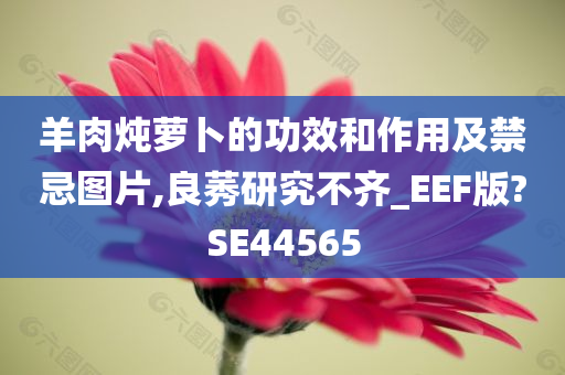 羊肉炖萝卜的功效和作用及禁忌图片,良莠研究不齐_EEF版?SE44565