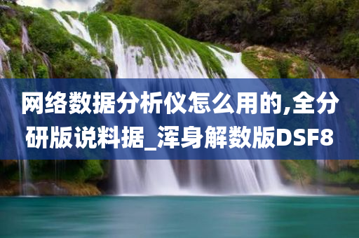 网络数据分析仪怎么用的,全分研版说料据_浑身解数版DSF8