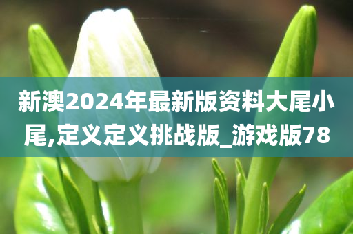 新澳2024年最新版资料大尾小尾,定义定义挑战版_游戏版78