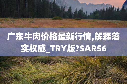 广东牛肉价格最新行情,解释落实权威_TRY版?SAR56