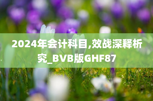 2024年会计科目,效战深释析究_BVB版GHF87