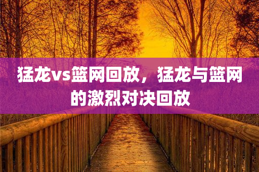 猛龙vs篮网回放，猛龙与篮网的激烈对决回放