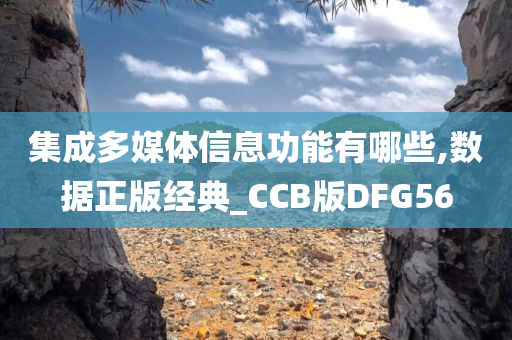 集成多媒体信息功能有哪些,数据正版经典_CCB版DFG56