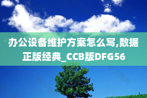 办公设备维护方案怎么写,数据正版经典_CCB版DFG56