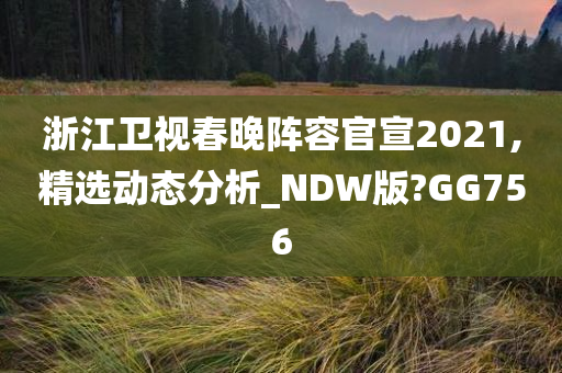 浙江卫视春晚阵容官宣2021,精选动态分析_NDW版?GG756