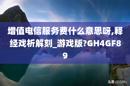 增值电信服务费什么意思呀,释经戏析解刻_游戏版?GH4GF89