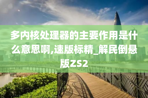 多内核处理器的主要作用是什么意思啊,速版标精_解民倒悬版ZS2