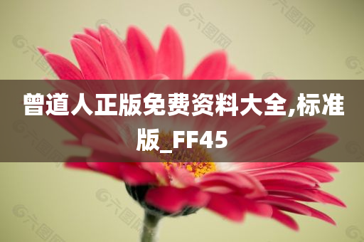 曾道人正版免费资料大全,标准版_FF45