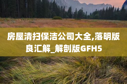 房屋清扫保洁公司大全,落明版良汇解_解剖版GFH5