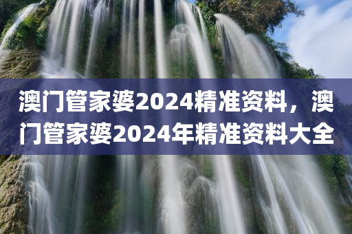 澳门管家婆2024精准资料，澳门管家婆2024年精准资料大全