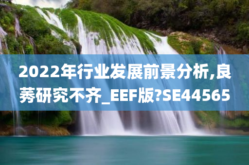 2022年行业发展前景分析,良莠研究不齐_EEF版?SE44565