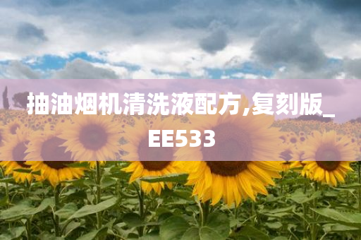 抽油烟机清洗液配方,复刻版_EE533