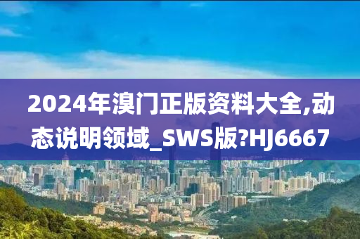 2024年溴门正版资料大全,动态说明领域_SWS版?HJ6667