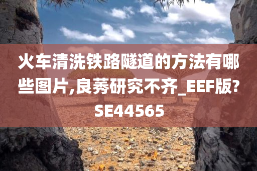 火车清洗铁路隧道的方法有哪些图片,良莠研究不齐_EEF版?SE44565