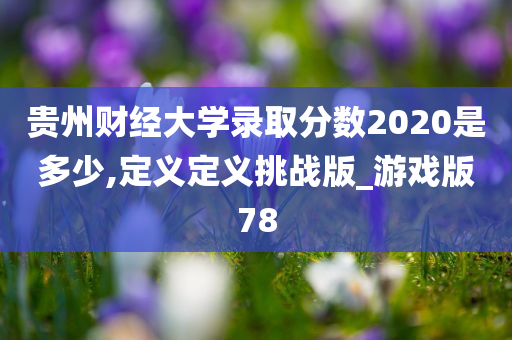 贵州财经大学录取分数2020是多少,定义定义挑战版_游戏版78