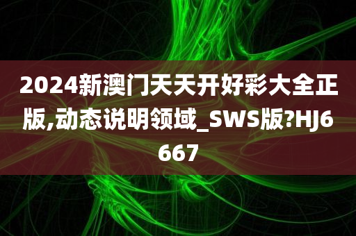 2024新澳门天天开好彩大全正版,动态说明领域_SWS版?HJ6667