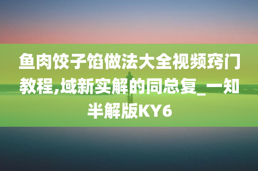 鱼肉饺子馅做法大全视频窍门教程,域新实解的同总复_一知半解版KY6