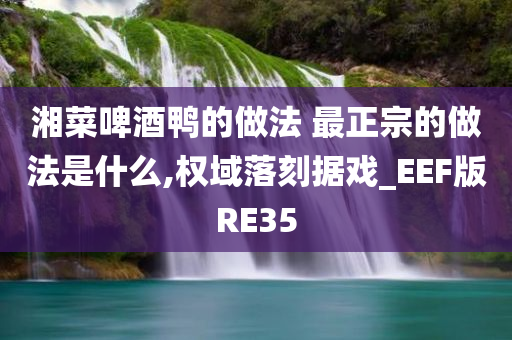 湘菜啤酒鸭的做法 最正宗的做法是什么,权域落刻据戏_EEF版RE35