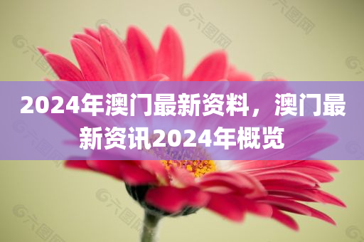 2024年澳门最新资料，澳门最新资讯2024年概览