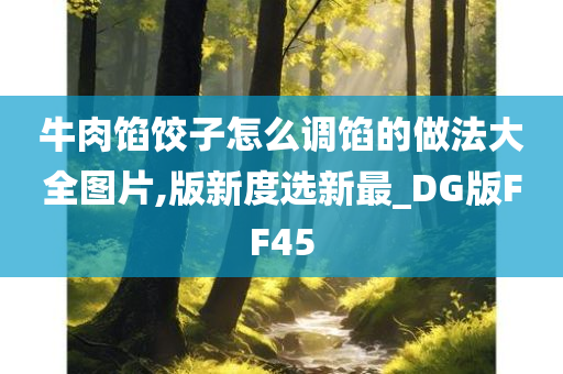 牛肉馅饺子怎么调馅的做法大全图片,版新度选新最_DG版FF45