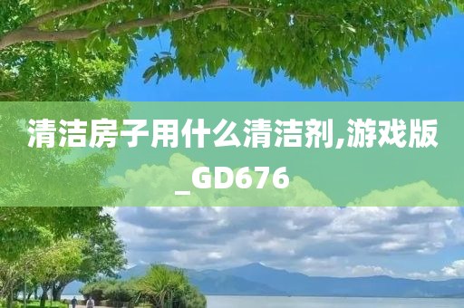 清洁房子用什么清洁剂,游戏版_GD676